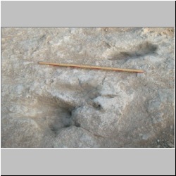 102_6402 (2013-08-09)mod.JPG